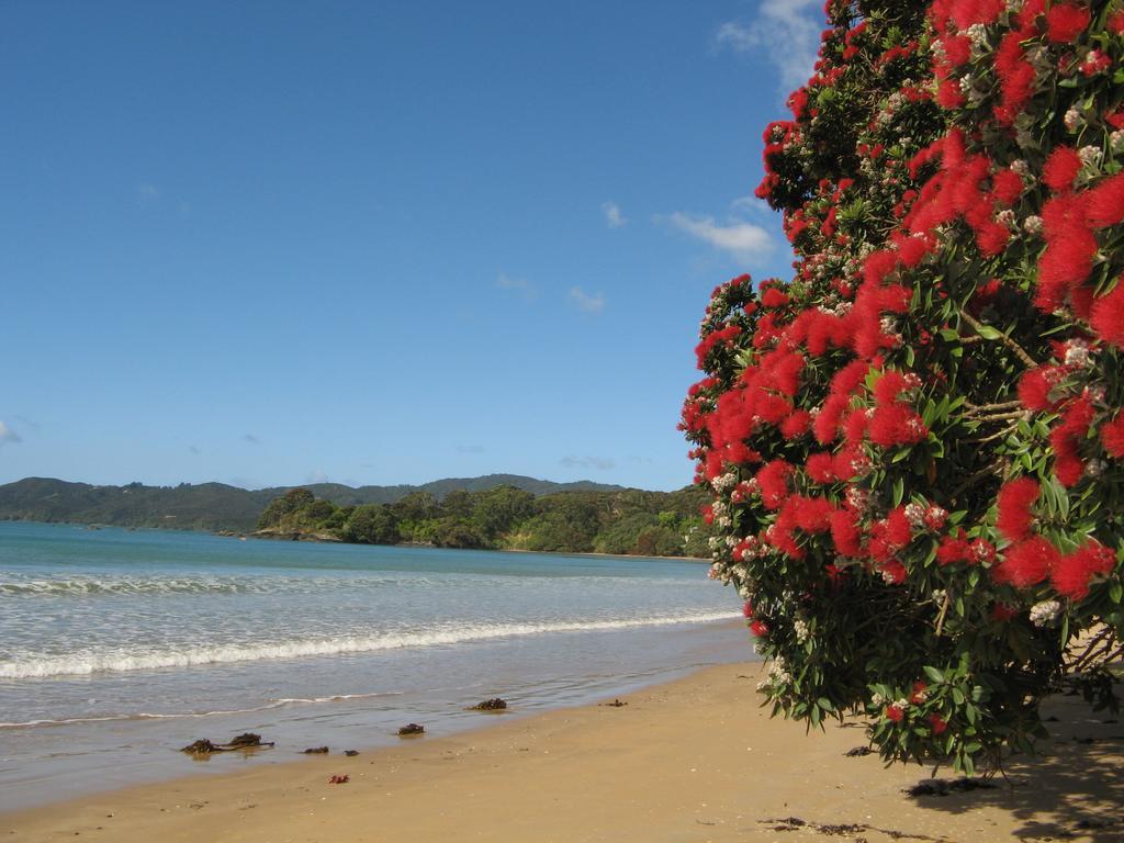 By The Bay Beachfront Apartments Mangonui Exterior foto